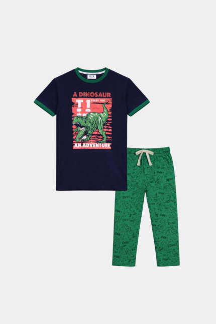 A Dinosaur Summer Garment by MYK