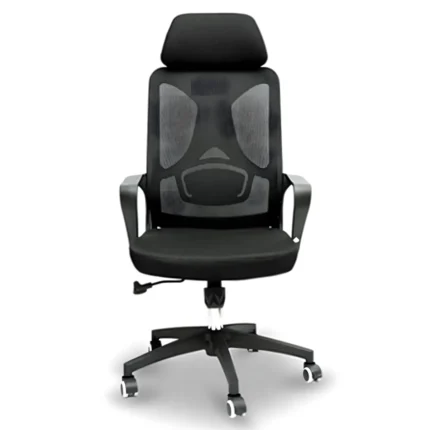 High Back Ergonomic Mesh Office Chair with Headrest